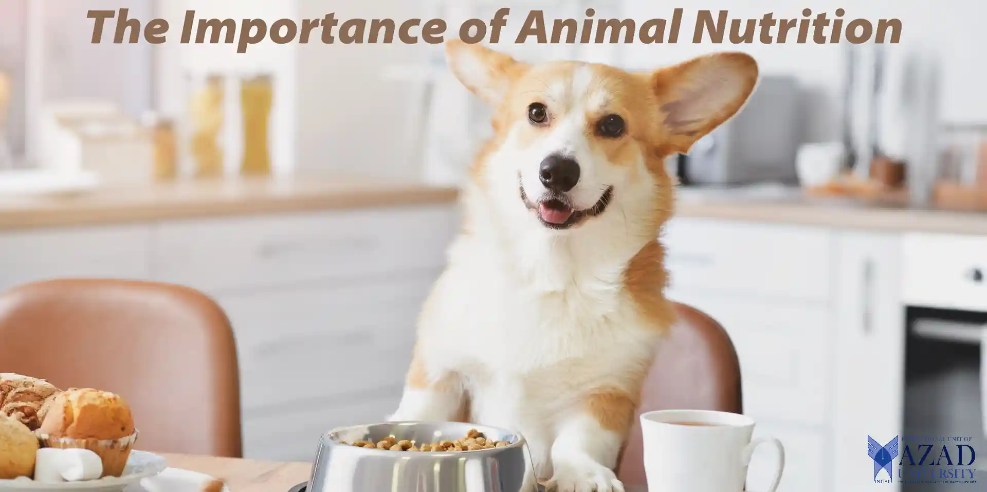 American National College Animal Nutrition: The Essentials 