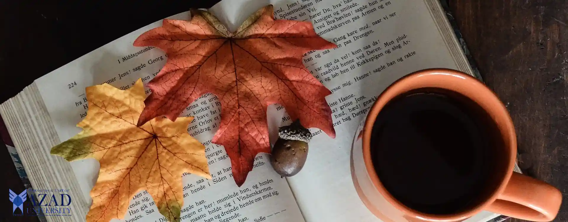 French Literature at American National College: Unlocking the Rich Tapestry