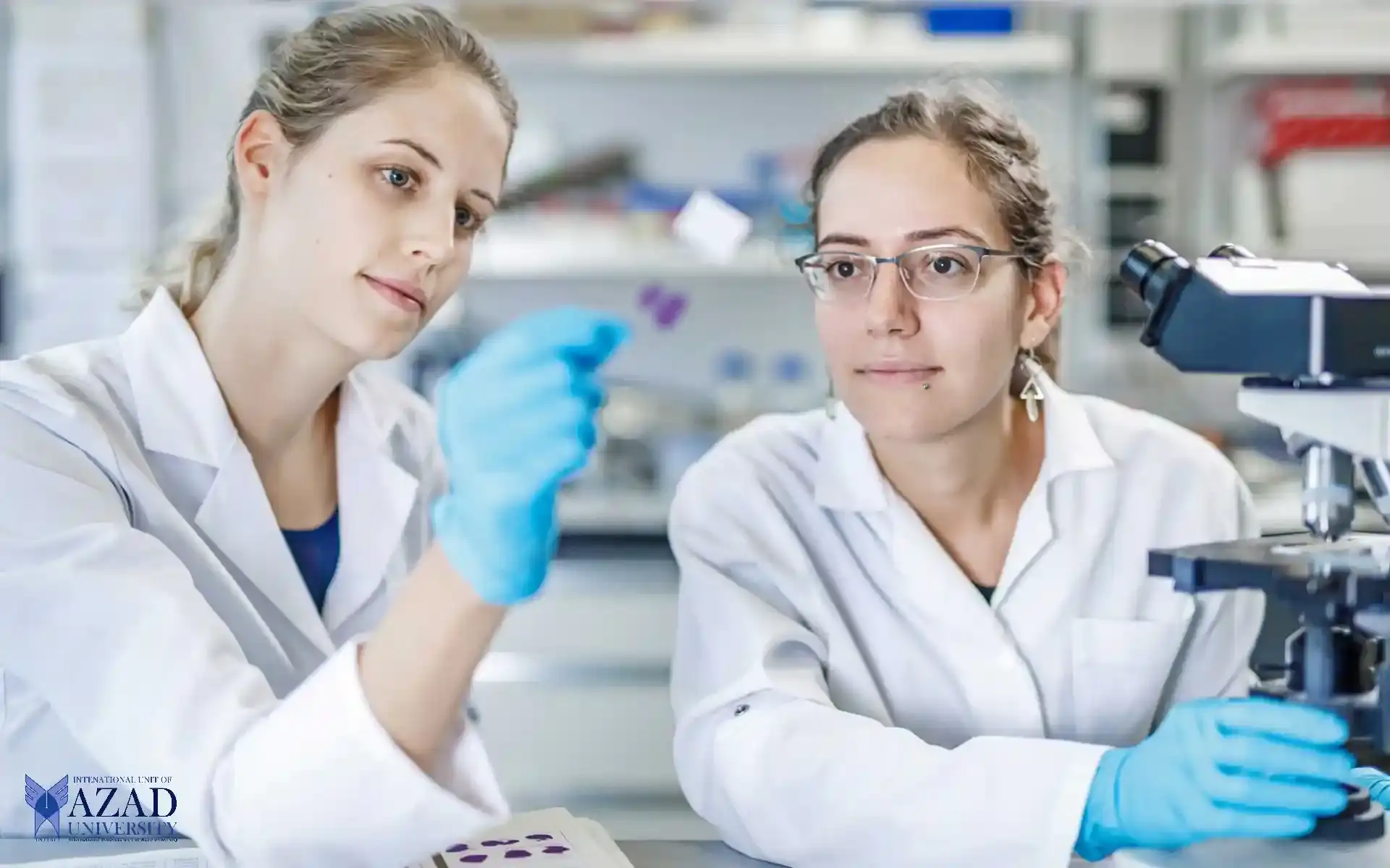 American National College Parand branch: Shaping the Leaders of Tomorrow-Explore our diverse degree programs across various education levels and academic fields.