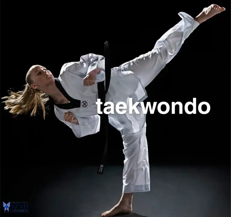 American National College Taekwondo: Expert Tips on Martial Arts Training
