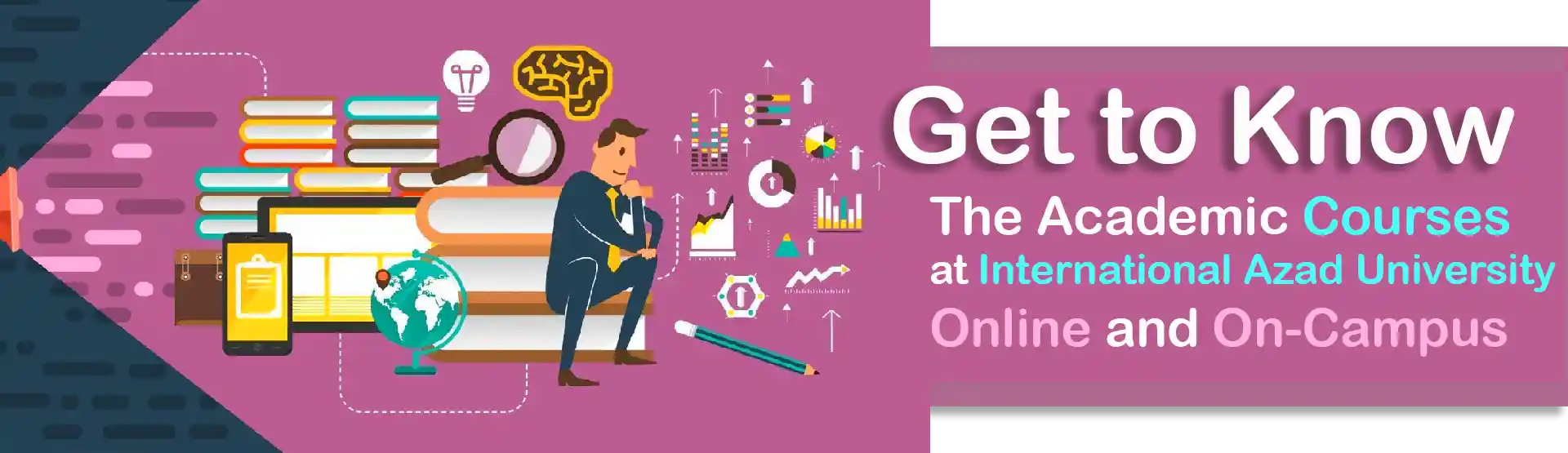 International American National College Courses - ANC